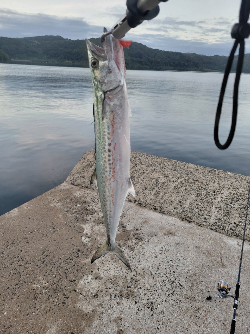 釣り