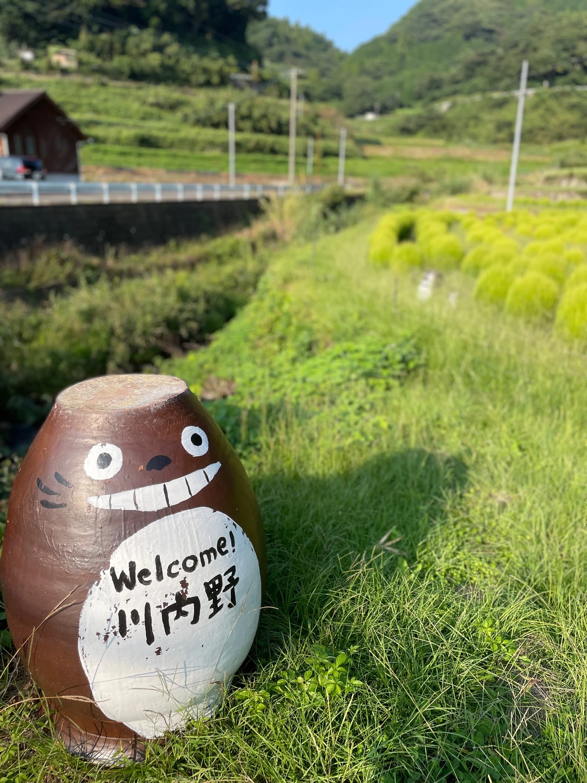 トトロ🌱