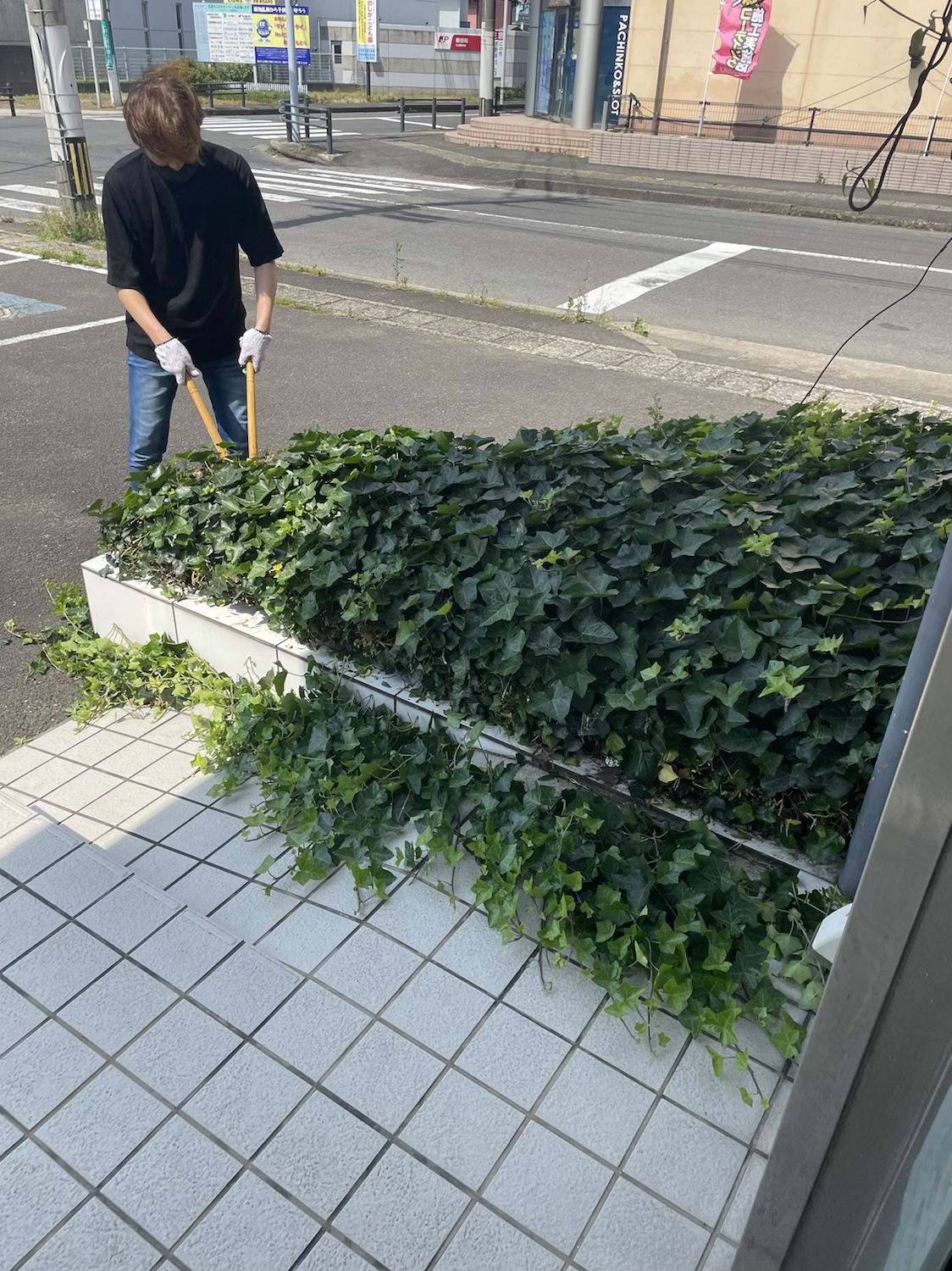 植木剪定