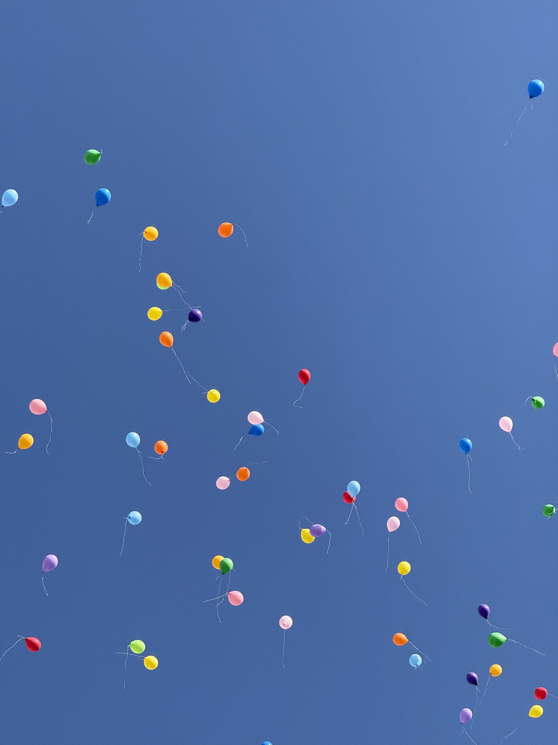 西九州道　松浦IC～平戸ICが開通しました