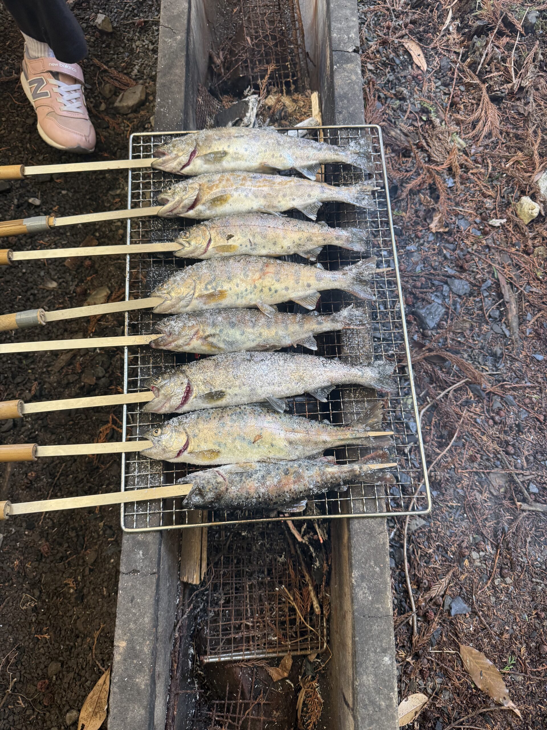 青龍の郷（ヤマメの釣り堀）